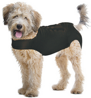 ZenPet ZENDOG + Calming, Shed and Recovery Shirt Extra Large
