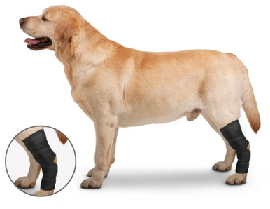 ZenPet Hock Protector Back Leg Large