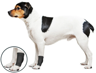 ZenPet Ligament Protector Universal  Small