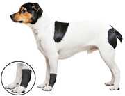 ZenPet Ligament Protector Universal  Medium