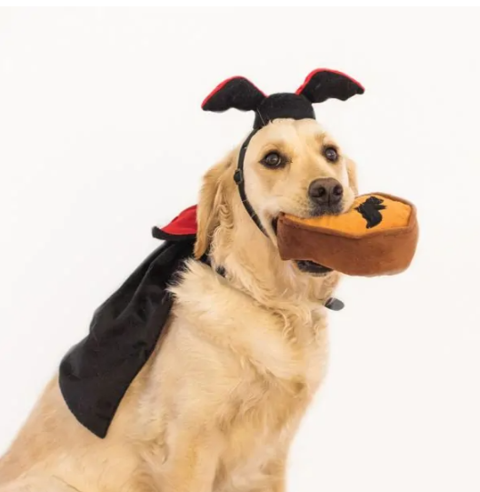 Zippy Paws Halloween Costume Kit Dracula by Pet Food Warehouse