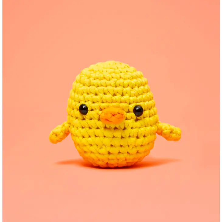 Beginner Crochet Kit