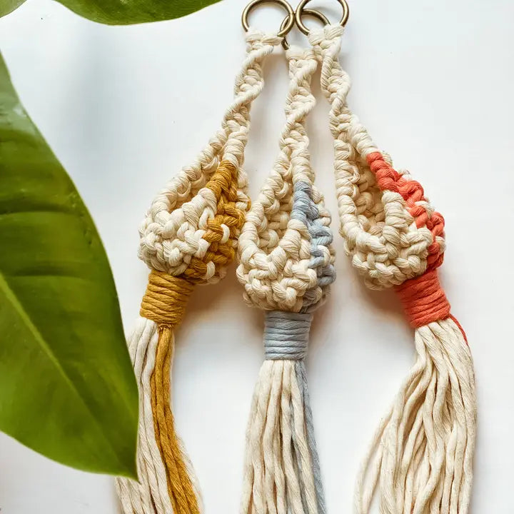 Color Pop Air Plant Pod