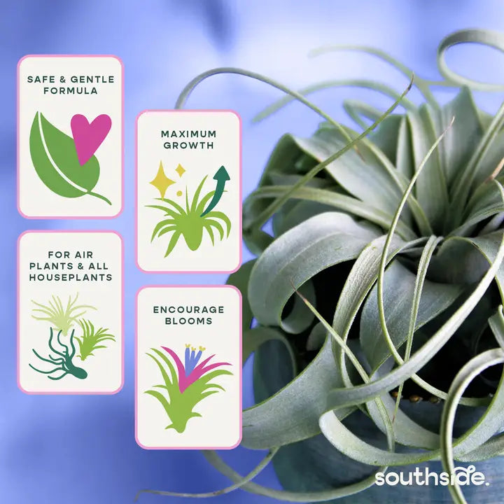 Air Plant Fertilizer - Spray and Soak