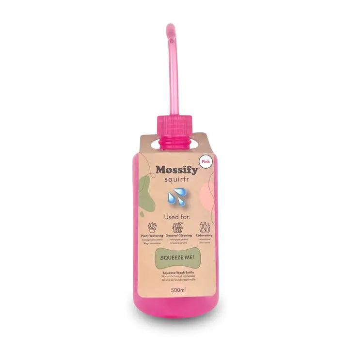 Mossify Squirtr