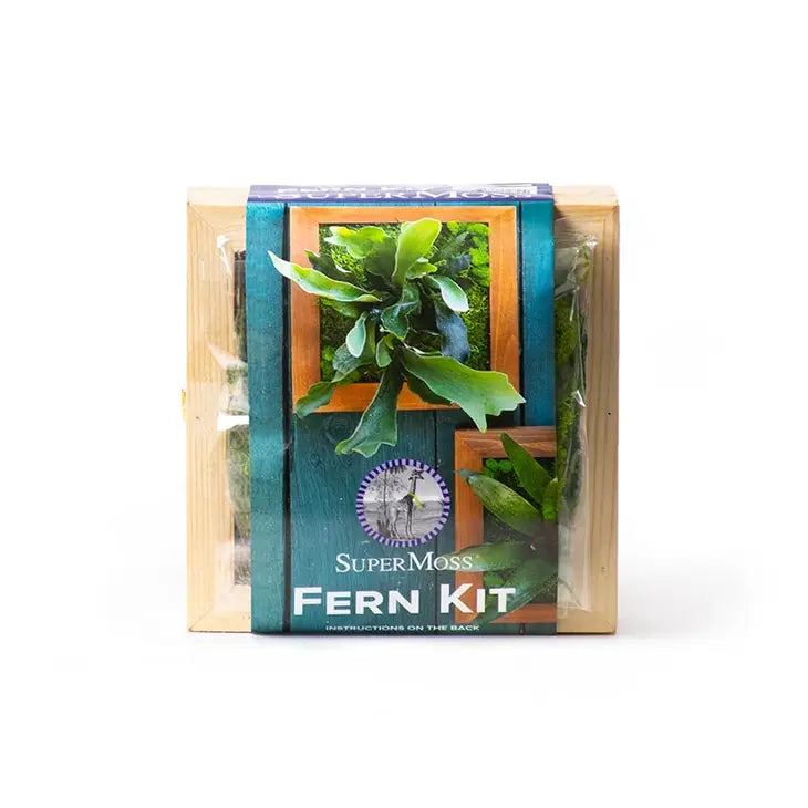 Staghorn Fern Kit