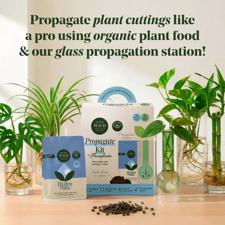 Propagation Kit