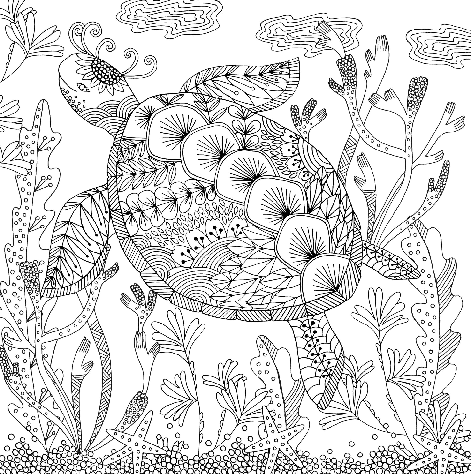 Artist's Adult Coloring Book Follow Your Dreams by Homeportonline