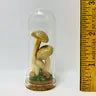 Mushroom Curiosity Jar Real Fungi Curio