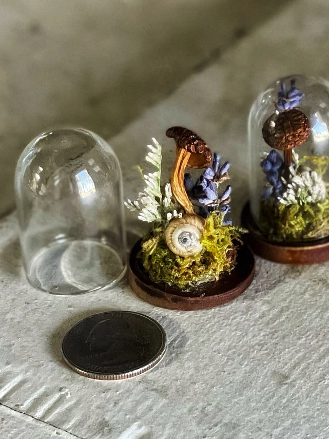 Miniature Lavender, Mushroom, and Snail Terrarium
