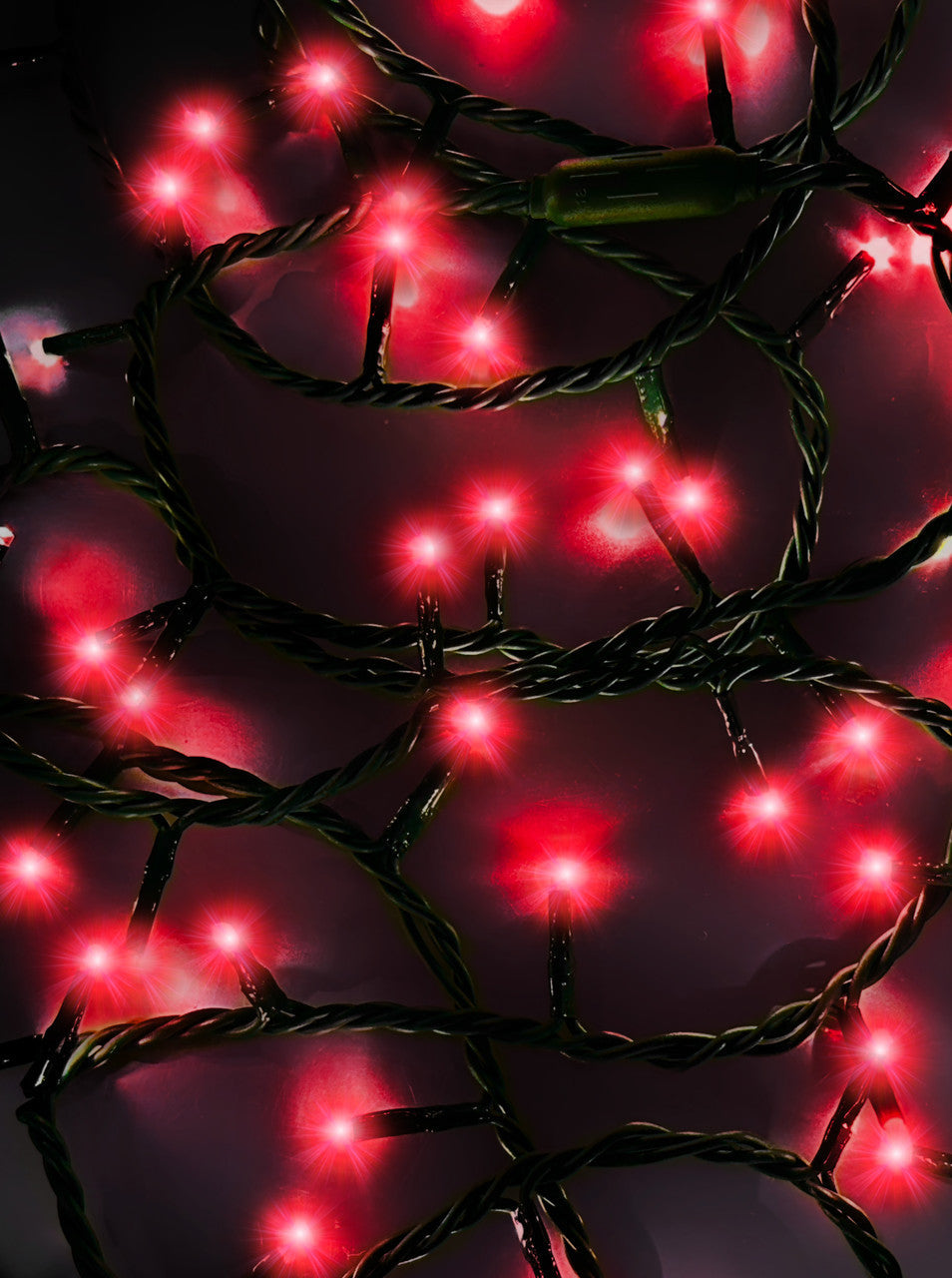 Jingle Bright 100 LED Light Set - Red