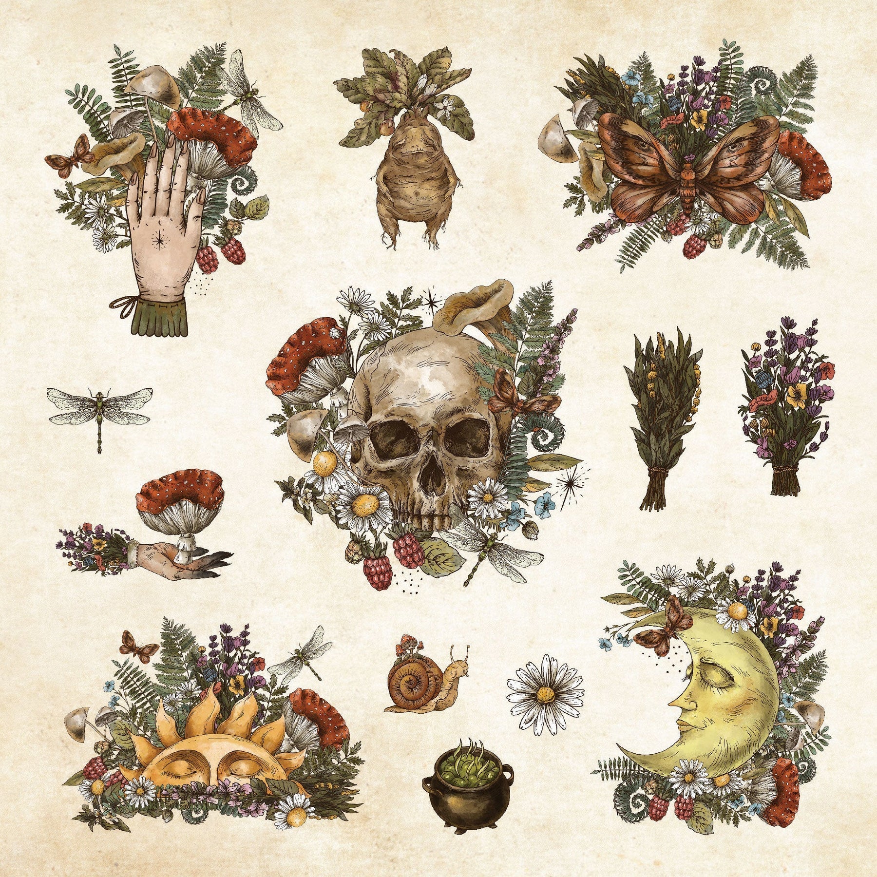 Sticker Book Mystical Ephemera by Homeportonline