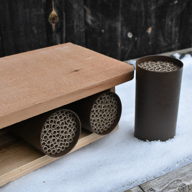 Cedar Bee Hotel -  Kit
