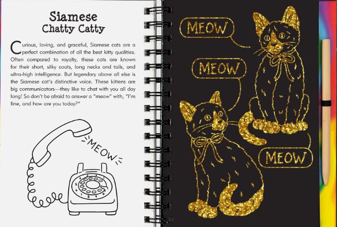 Scratch And Sketch Trace Along Activity Book Kittens by Homeportonline