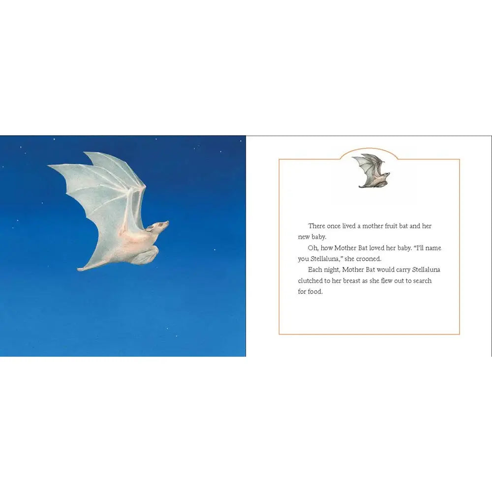 Stellaluna By Janell Cannon | Board Book