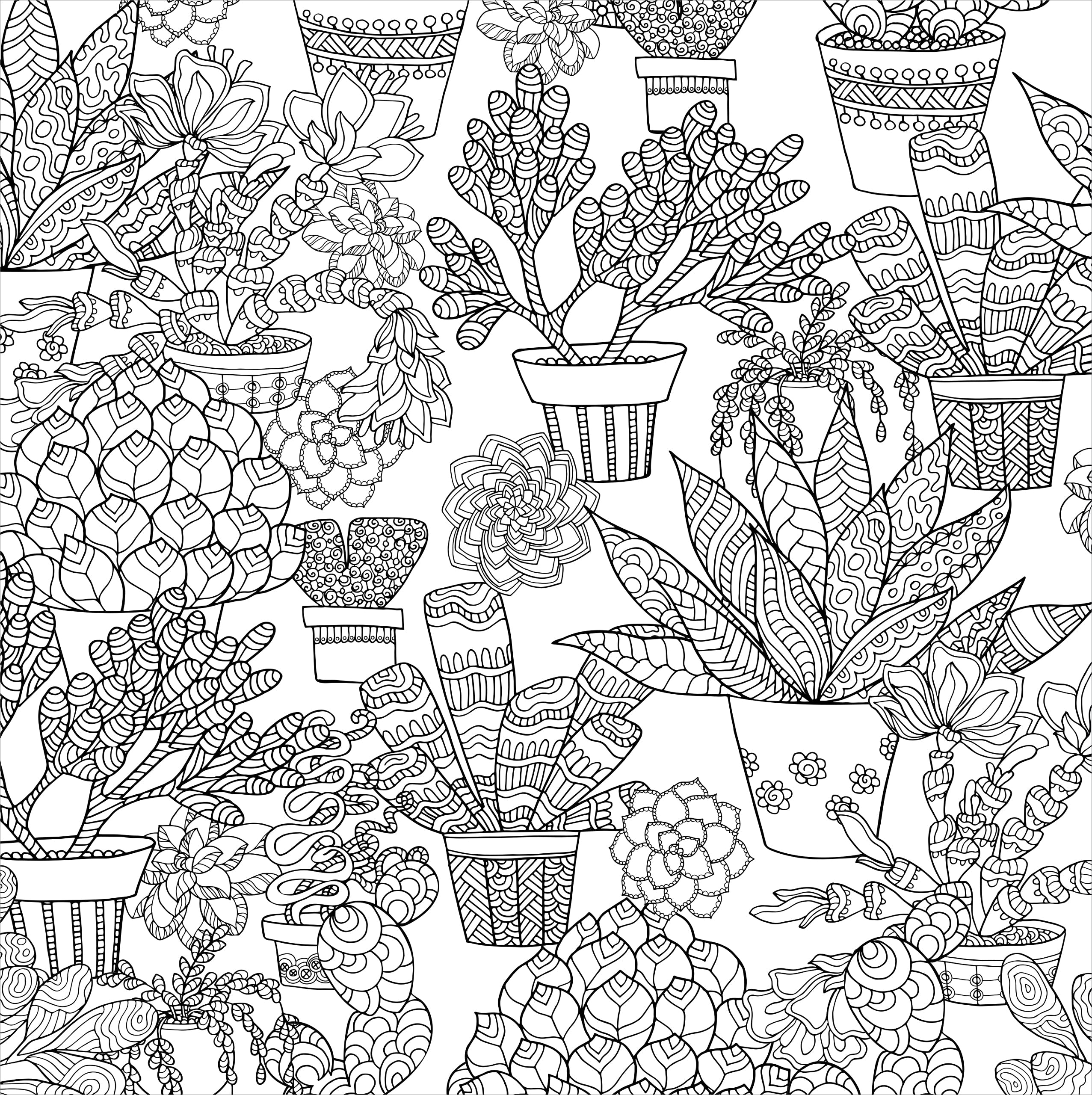Artist's Adult Coloring Book Succulents by Homeportonline