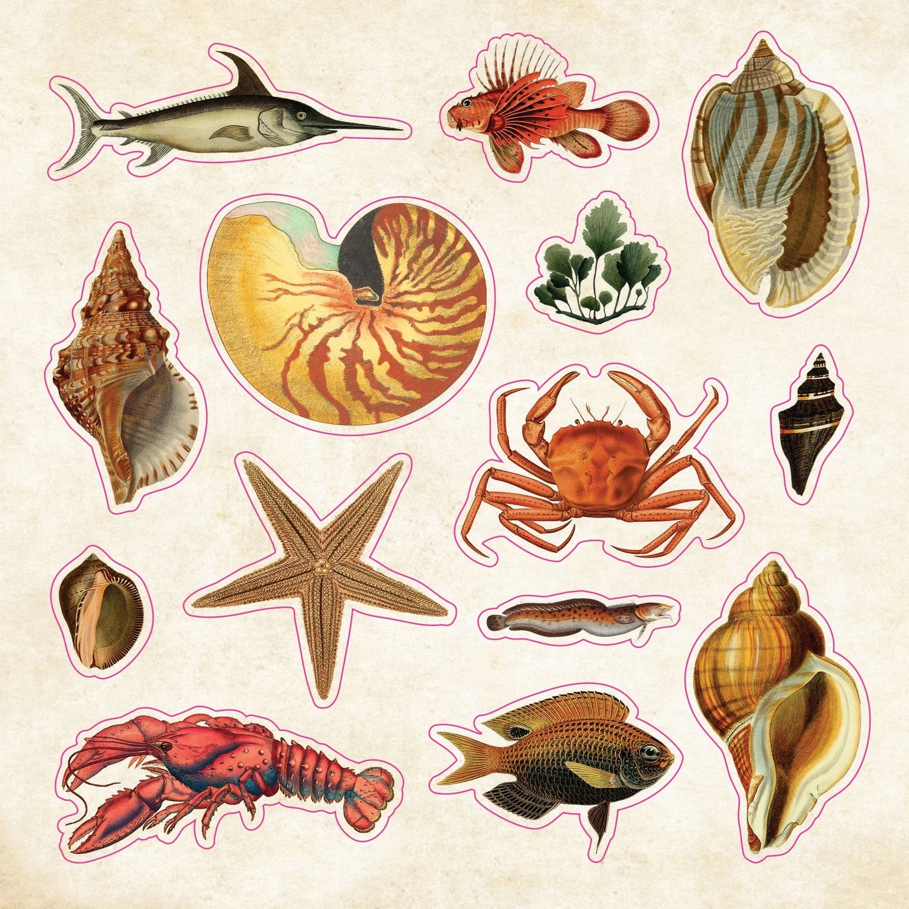 Sticker Book Curiosities by Homeportonline