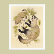 Fine Art Giclee Print