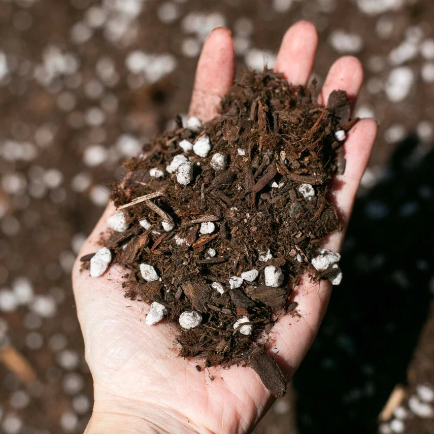 Premium Houseplant & Aroid Potting Soil Mix (4 Qt)