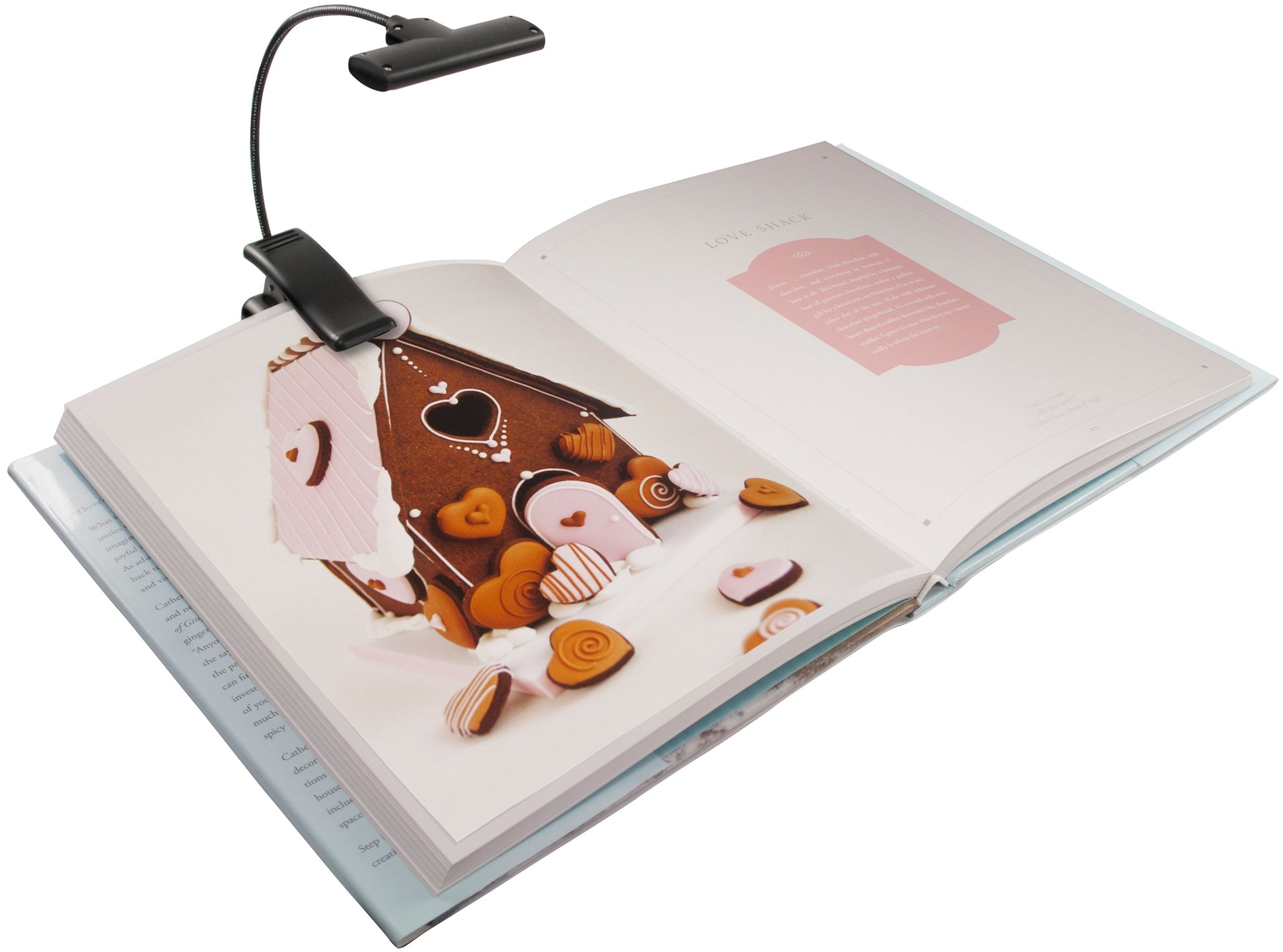 Reading & Book Light Moon Beam Clip On by Homeportonline
