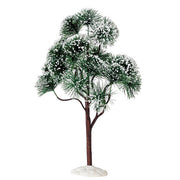 Mountain Pine, Extra Large
