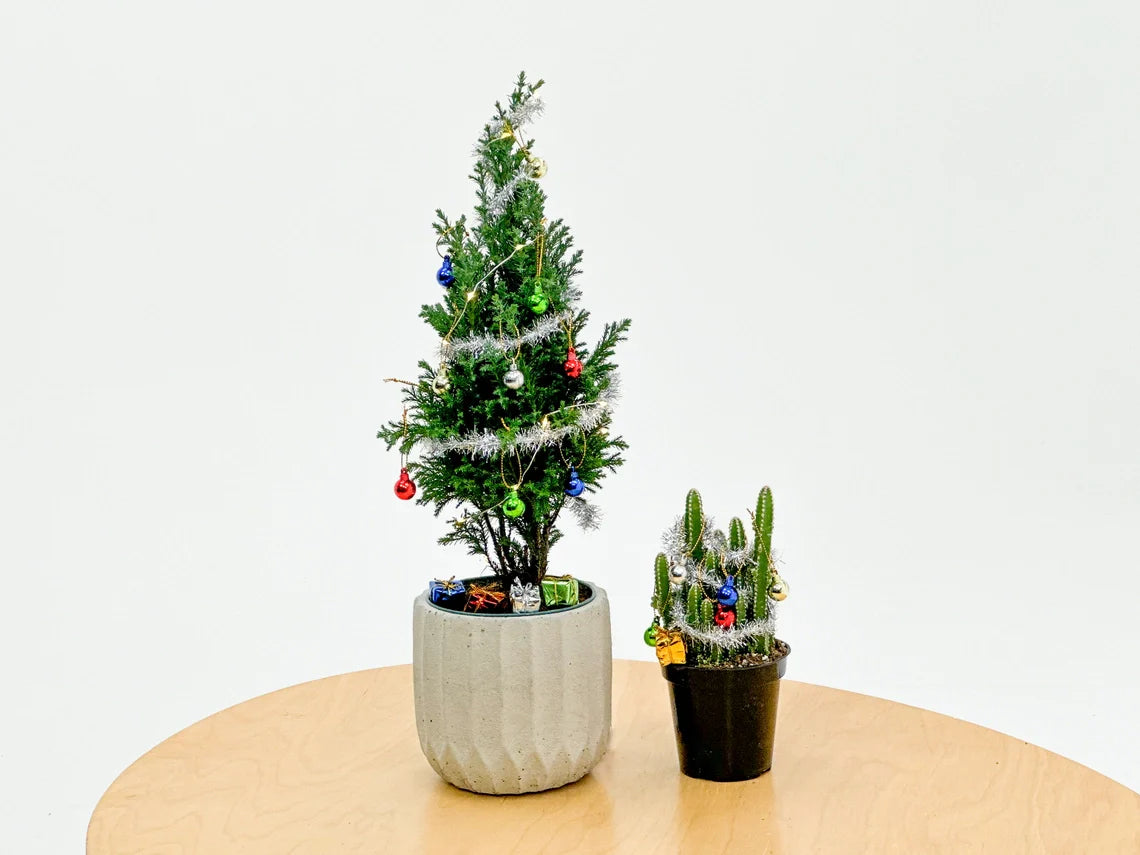 House Plant Christmas Tree Decoration Kit