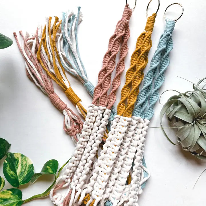 Color Block Plant Hanger