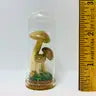 Mushroom Curiosity Jar Real Fungi Curio