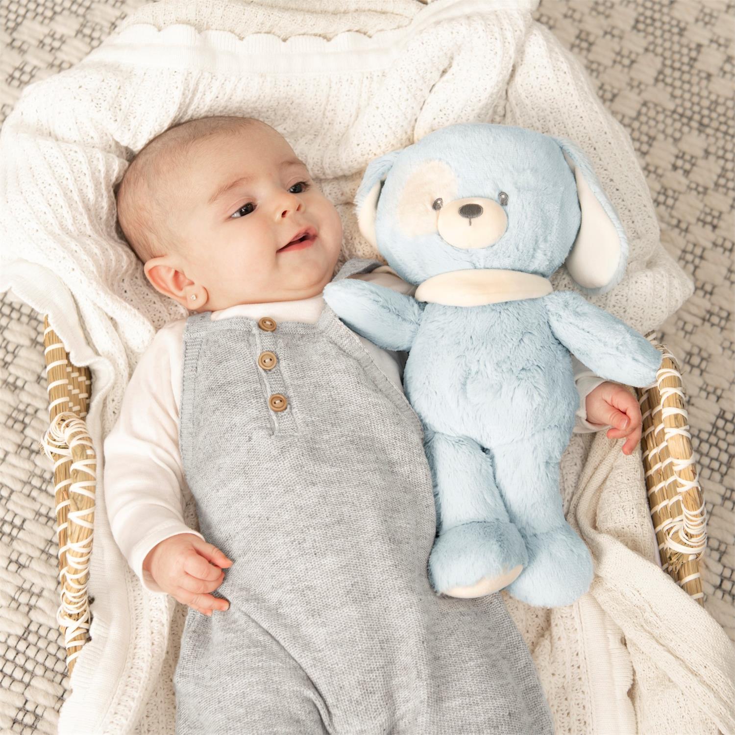 Plush Sustainable Puppy "Bay" Blue 13" by Homeportonline