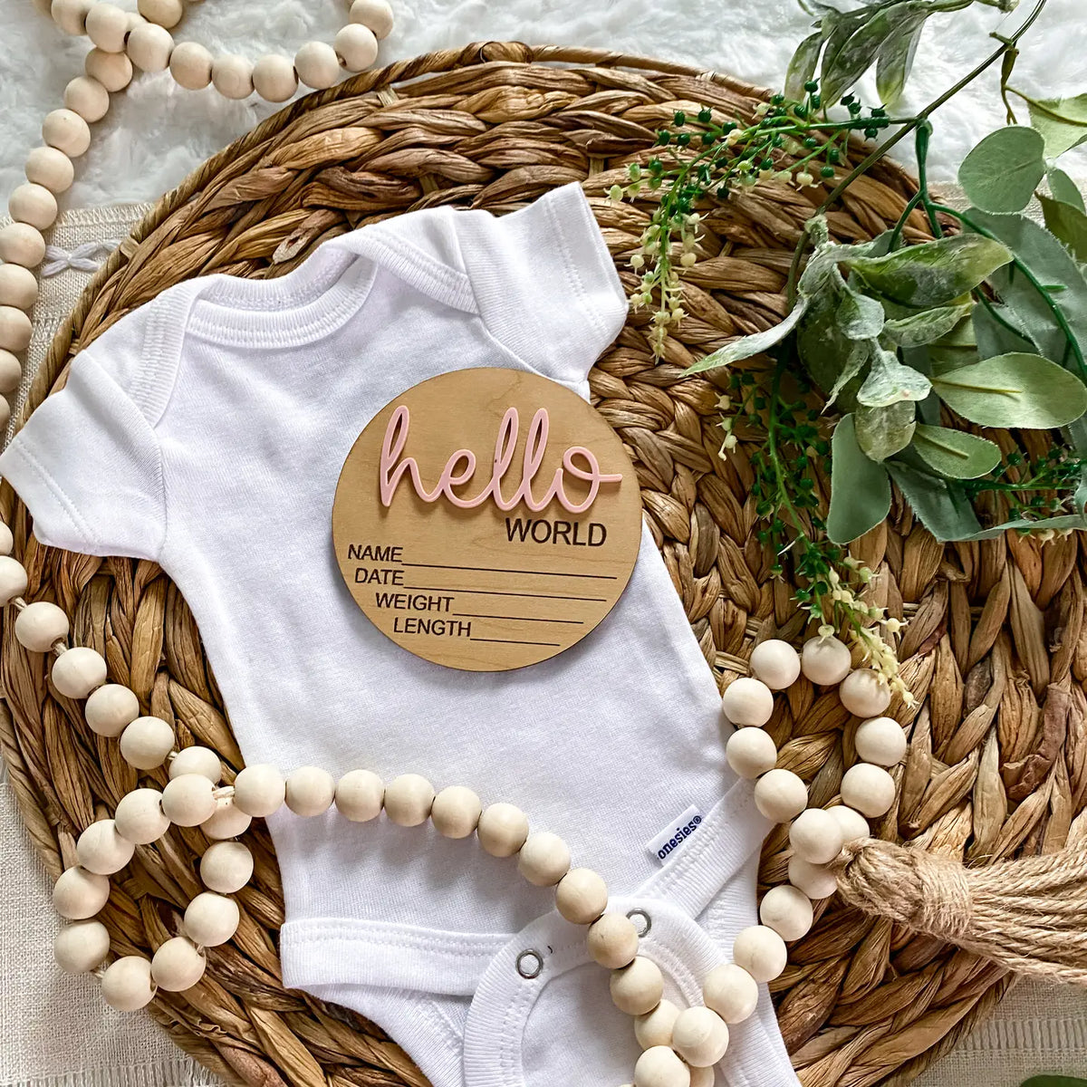 Hello World Birth Announcement Disc