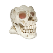 Lighted Smoking Skull