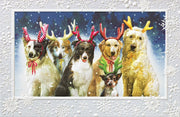 Reindeer Games Boxed Christmas Cards