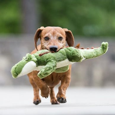 Fluff & Tuff Georgia Gator