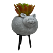 Faux 2 Tone Succulent In Planter - Mouse