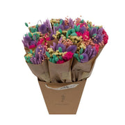 Dried Flowers - Market More - Rainbow by Wild Lark