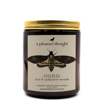 A Pleasant Thought Jar Candles