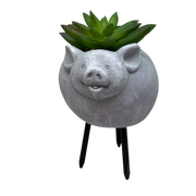 Faux Green Succulent In Planter - Pig