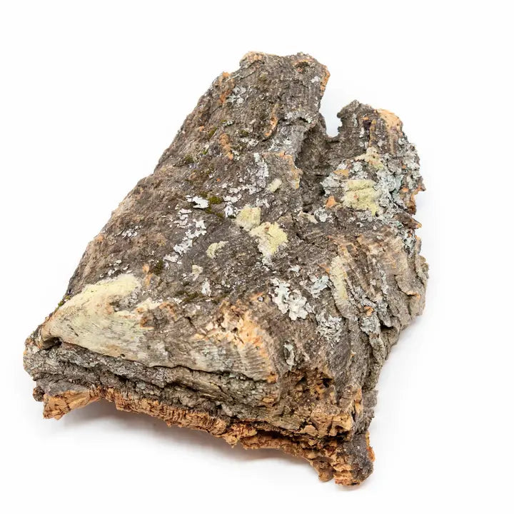 Virgin Cork Bark Slab