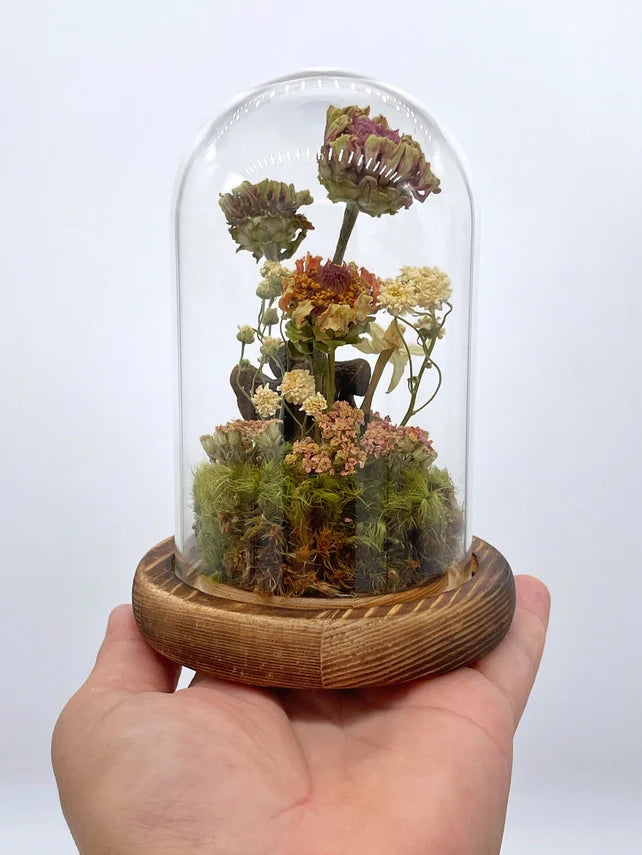 Dried Flower Zinnia Cloche Terrarium