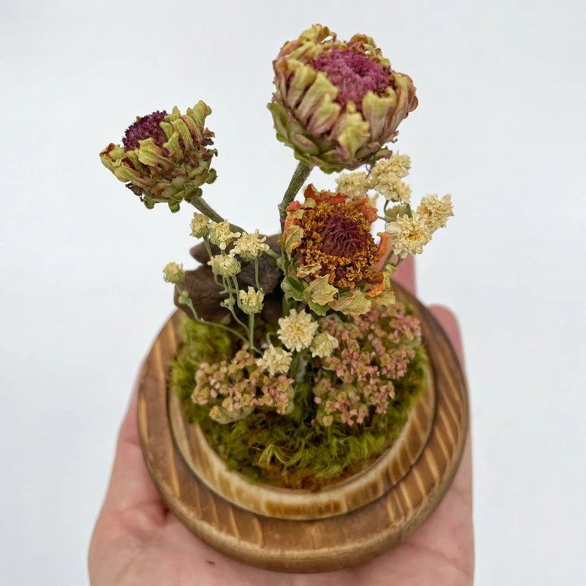 Dried Flower Zinnia Cloche Terrarium