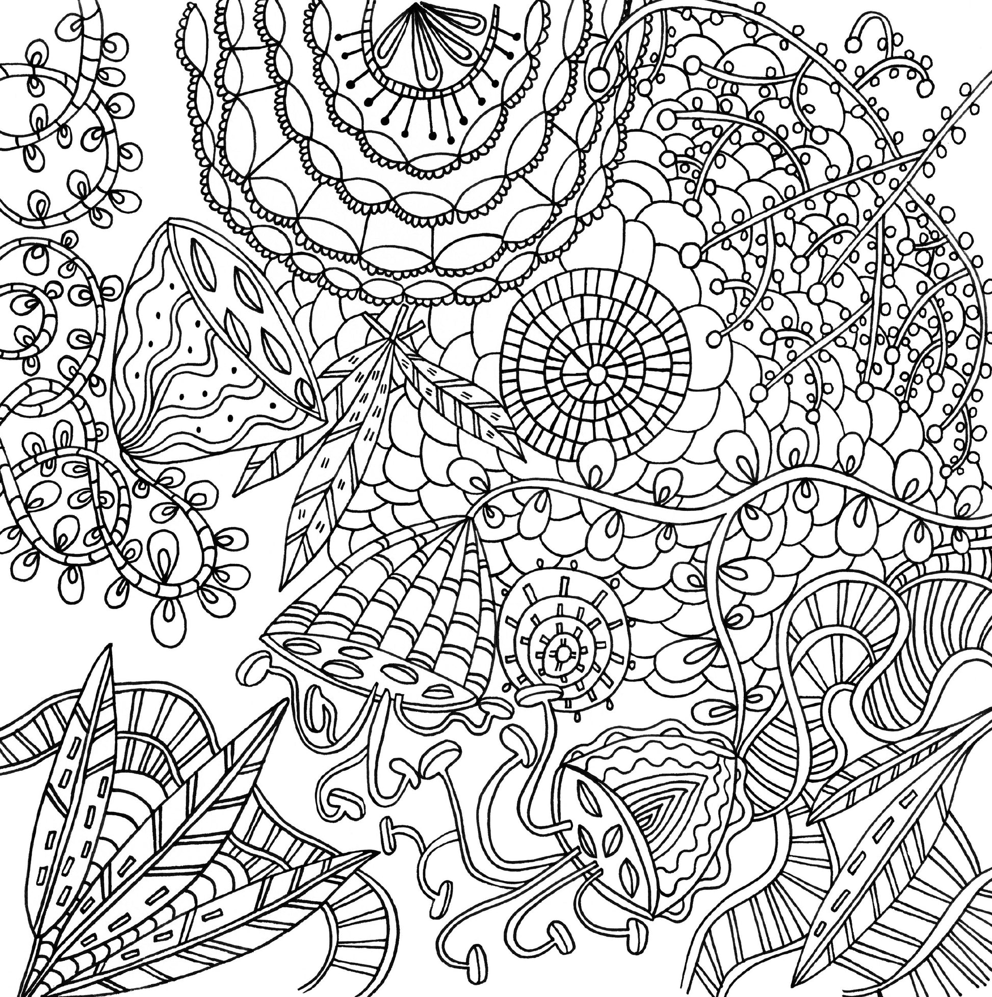Artist's Adult Coloring Book Serenity by Homeportonline