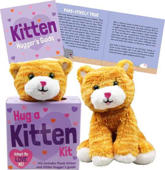 Petites Plush Kit Hug A Kitten by Homeportonline