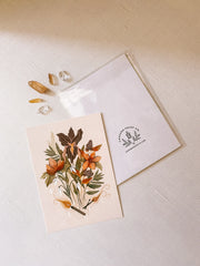 Witch's Bouquet - Art Print