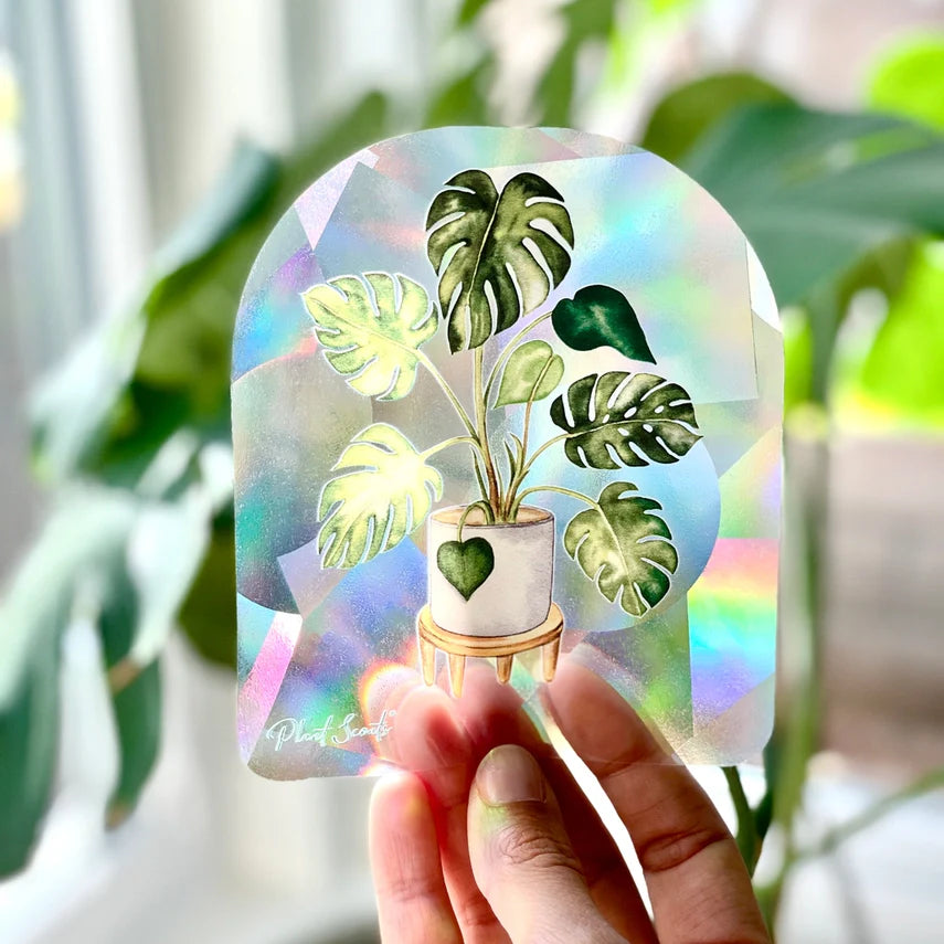 Rainbow Maker Suncatcher Window Decal Sticker