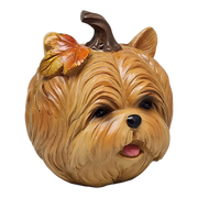 Autumn Pup Pumpkin - Yorkie Edition