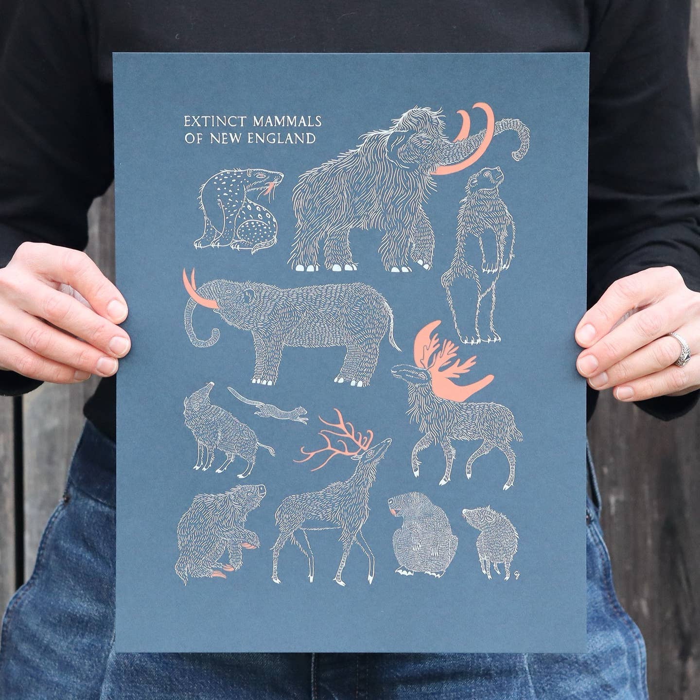 Print - Extinct Mammals of New England - As Little Cooking As Possible