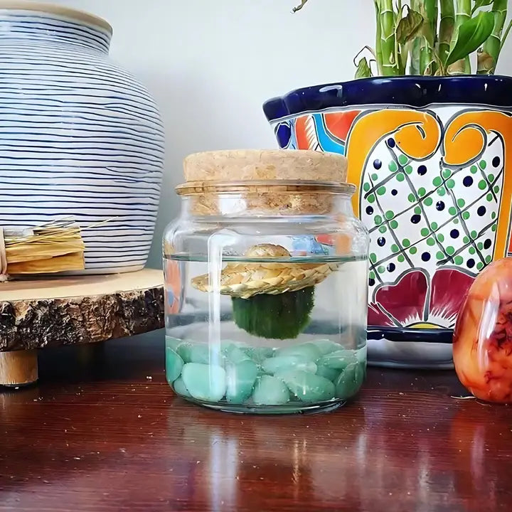 Moss Ball - Large