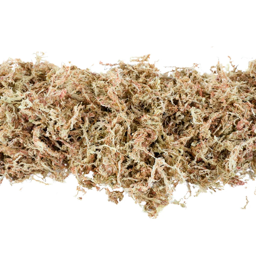 Premium Long Fiber Sphagnum Moss 50g