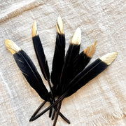 Gold-Tipped Feathers