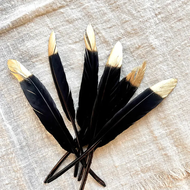 Gold-Tipped Feathers